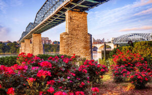 Image of a beautiful bridges in Chattanooga with the river flowing beneath, showcasing the scenic beauty of the city