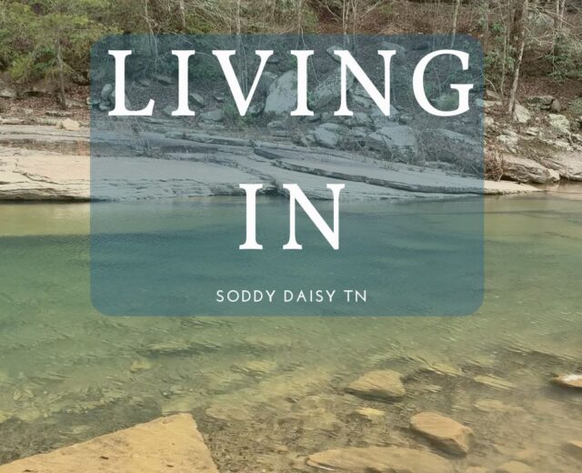 Living in Soddy Daisy TN